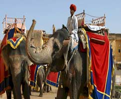 Tour Package In Chittorgarh
